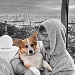 Alex Sparrow Instagram - #MozartCorgi ❤️