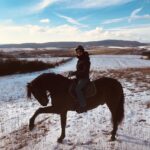 Alexander Dreymon Instagram – Meet Uhtred’s new battle stallion “Pedro”. Pedro enjoys moonlit strolls in the park, has a sweet tooth and loves to get pampered. Just like Uhtred he’s a foodie and can be a little temperamental at times. His hobbies include Latin music and tap-dancing. In relationships he prides himself on being a good listener and enjoys getting ridden long and hard.