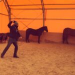 Alexander Dreymon Instagram – Training break with my friend (and Uhtred’s awesome stunt double) Tamás Katrics @katrix.horse 
#CatchAnUhtred #thelastkingdom #netflix #stunts #horsebackriding
