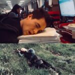 Alexander Dreymon Instagram – #tenyearchallenge 
2009: office temp – 2019: warlord 
Same job requirements. 
#noimprovement #theoffice