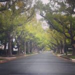 Alexander Petrov Instagram - кино!!!