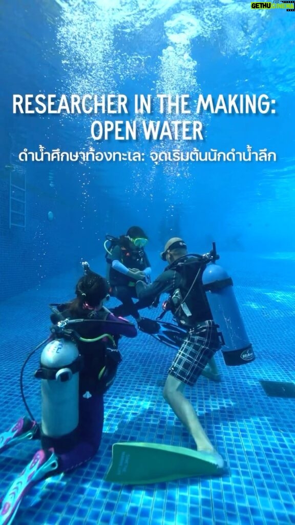 Alexander Rendell Instagram - 💙การสำรวจโลกใต้ทะเลเป็นประสบการณ์ที่เต็มไปด้วยความมหัศจรรย์โดยเฉพาะกับเด็กๆ ที่มีความฝันในการเป็นนักชีววิทยาทางทะเล ค่ายเรียนดำน้ำทั้ง 2 ภาคของเราถูกออกแบบมาเพื่อสอนพื้นฐานและรับรองการดำน้ำหลักสูตร Open Water โดยมีครูผู้มากประสบการณ์ตามมาตรฐาน PADI คอยดูแลและให้คำแนะนำตลอดทั้งหลักสูตร 🪸🐟🤿 — 💙 To explore the underwater world is a joyous experience, especially for children aspiring to be marine biologists. Our two-part Researcher in the Making camp is designed to teach the fundamentals and certify students in the open water with the guidance of professional PADI instructors 🪸🐟🤿 #EECThailand #LetNatureBeOurClassroom #Marinelife #SustainableWorld #PADI