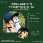 Alexander Rendell Instagram - ค่ายป่า ของ @eecthailand ปีนี้ครับผม : - ค่าย nursery under the tree เป็นค่ายง่ายๆสำหรับเด็กๆ 3-5ขวบครับ - ค่าย animals เขาใหญ่เป็นค่ายที่เหมาะสำหรับเด็กๆมาเป็นครั้งเเรก หรือเด็กๆที่อยากเรียนรู้เรื่องสัตว์ป่าที่หลากหลายในค่ายเดียว - ค่ายดอยตุงสุดยอดอยู่เเล้วครับ 🙂 อากาศดีๆ เเละเรียนรู้เรื่อง Sustainability อย่างเเท้จริงครับ - ค่าย fossil สำหรับเด็กๆที่ชอบ Dinosaur เเละทุกคนจะได้เห็น fossil ที่ไม่มีที่ไหนในโลกเเน่นอน 🙌 - ค่าย vet จะได้เรียนรู้การเป็นสัตวแพทย์ ใกล้ชิดกับสัตว์เเละเรียนรู้เบื้องหลังของสวนสัตว์ 🙂 - ค่าย summer จะมีเฉพาะเด็กๆช่วงปิดเทอม ซึ่งปีนี้มีทั้ง summer ป่า (กาญจนบุรี) กับ summer ทะเล (ภูเก็ต) Join us 🙂 @eecthailand เปิดรับการสมัคร 5กันยา 10:00 เป็นต้นไปนะครับ 🙂 บางค่ายเต็มเร็วนะคาาบบบ By the way ... ค่ายป่าอื่นๆจะเป็นครึ่งปีหลังนะครับ :)