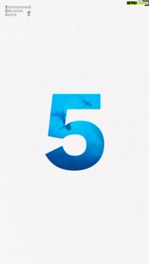 Alexander Rendell Instagram - อีก 5 วันจะปล่อยค่ายชุดใหม้เเล้วน้าาาา 5กันยา 10 โมงเป็นต้นไป :) @eecthailand