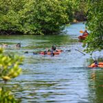 Alexander Rendell Instagram - Dive ที่พีคสุดกับการดำเพื่อทำความเข้าใจ Mangrove Forest ... @eecthailand พาเด็กๆมา snorkel เพื่อเห็นถึงความเป็น "โรงเรียนอนุบาล" ของสัตว์ทะเลจนมีนักเรียนถามว่า เเล้วมี teacher ไหม? 🙂 #eecthailand
