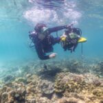Alexander Rendell Instagram - ทำงานตรงนี้ สิ่งหนึ่งที่ให้ความสุขเรามากๆ คือการได้สร้างประสบการณ์ดำน้ำครั้งเเรกให้กับเหล่านักเรียน ขึ้นสู่ผิวน้ำทีไร บทสนทนาจะเต็มไปด้วยความตื่นเต้น รอยยิ้มเสียงหัวเราะ ...เห็นนู้นไหม เห็นนี้ไหม 😃 เเต่ไม่ได้ง่ายเลยกว่า @eecthailand จะสร้างค่ายนี้ได้ ต้องหาสถานที่ที่น้ำตื้นๆ เเละน้ำต้องใส ต้องดำหน้าหาดได้ อุปกรต้องเเบกกันข้ามเกาะ ครูดำน้ำดำกัน 4 dive เพราะต้องประกบ 1 ต่อ 1 ... ขอบคุณทีมงานที่พร้อมจะเข้าใจว่าเเต่ละรายละเอียด มันคือส่วนหนึ่งของกระบวนการเรียนรู้ที่เรากำลังสร้างให้ผู้เข้าร่วม เหนื่อยน้อย นักเรียนได้น้อย เหนื่อยมากนักเรียนก็ได้มาก ✌️ ค่าย ดำน้ำ bubble making สำหรับ 8-10 ขวบ พร้อมทำความเข้าใจกับ 3 วิกฤติโลก (3 Planetary Crises) : Biodiversity loss / Climate Change / Pollution #eecthailand