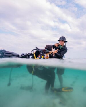 Alexander Rendell Instagram - ทำงานตรงนี้ สิ่งหนึ่งที่ให้ความสุขเรามากๆ คือการได้สร้างประสบการณ์ดำน้ำครั้งเเรกให้กับเหล่านักเรียน ขึ้นสู่ผิวน้ำทีไร บทสนทนาจะเต็มไปด้วยความตื่นเต้น รอยยิ้มเสียงหัวเราะ ...เห็นนู้นไหม เห็นนี้ไหม 😃

เเต่ไม่ได้ง่ายเลยกว่า @eecthailand จะสร้างค่ายนี้ได้ ต้องหาสถานที่ที่น้ำตื้นๆ เเละน้ำต้องใส ต้องดำหน้าหาดได้ อุปกรต้องเเบกกันข้ามเกาะ ครูดำน้ำดำกัน 4 dive เพราะต้องประกบ 1 ต่อ 1 ... ขอบคุณทีมงานที่พร้อมจะเข้าใจว่าเเต่ละรายละเอียด มันคือส่วนหนึ่งของกระบวนการเรียนรู้ที่เรากำลังสร้างให้ผู้เข้าร่วม เหนื่อยน้อย นักเรียนได้น้อย เหนื่อยมากนักเรียนก็ได้มาก ✌️

ค่าย ดำน้ำ bubble making สำหรับ 8-10 ขวบ พร้อมทำความเข้าใจกับ 3 วิกฤติโลก (3 Planetary Crises) : Biodiversity loss / Climate Change / Pollution 

#eecthailand