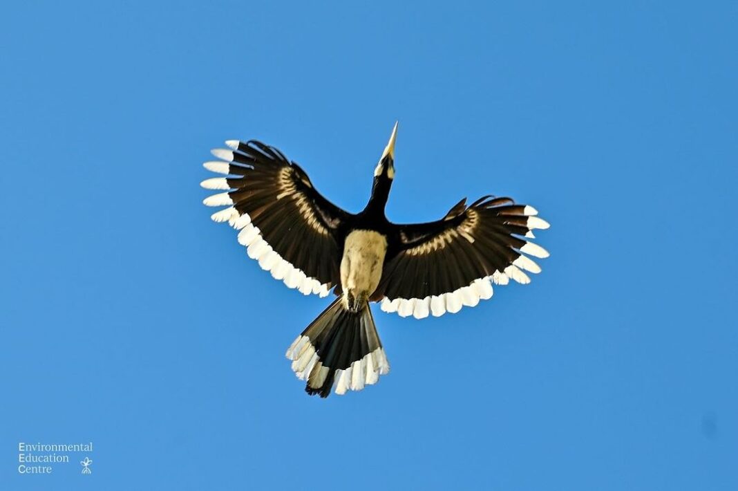 Actor Alexander Rendell HD Photos and Wallpapers March 2024 | Gethu Cinema