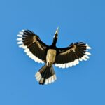 Actor Alexander Rendell HD Instagram Photos and Wallpapers March 2024 ...