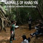 Alexander Rendell Instagram – 🌳🐘🐒 Another memorable adventure with a group of young explorers discovering the animals of Khao Yai during the day and night. Mission completed ✅ 
—
🌳🐘🐒 อีกหนึ่งการผจญภัยที่น่าจดจำของกลุ่มนักสำรวจรุ่นเยาว์ที่ได้ค้นพบสัตว์ป่าหลายชนิดที่เขาใหญ่ ทั้งตอนกลางวันและตอนกลางคืน 

นับเป็นอีกหนึ่งภารกิจที่ประสบความสำเร็จ✅

#eecthailand 
#letnaturebeourclassroom