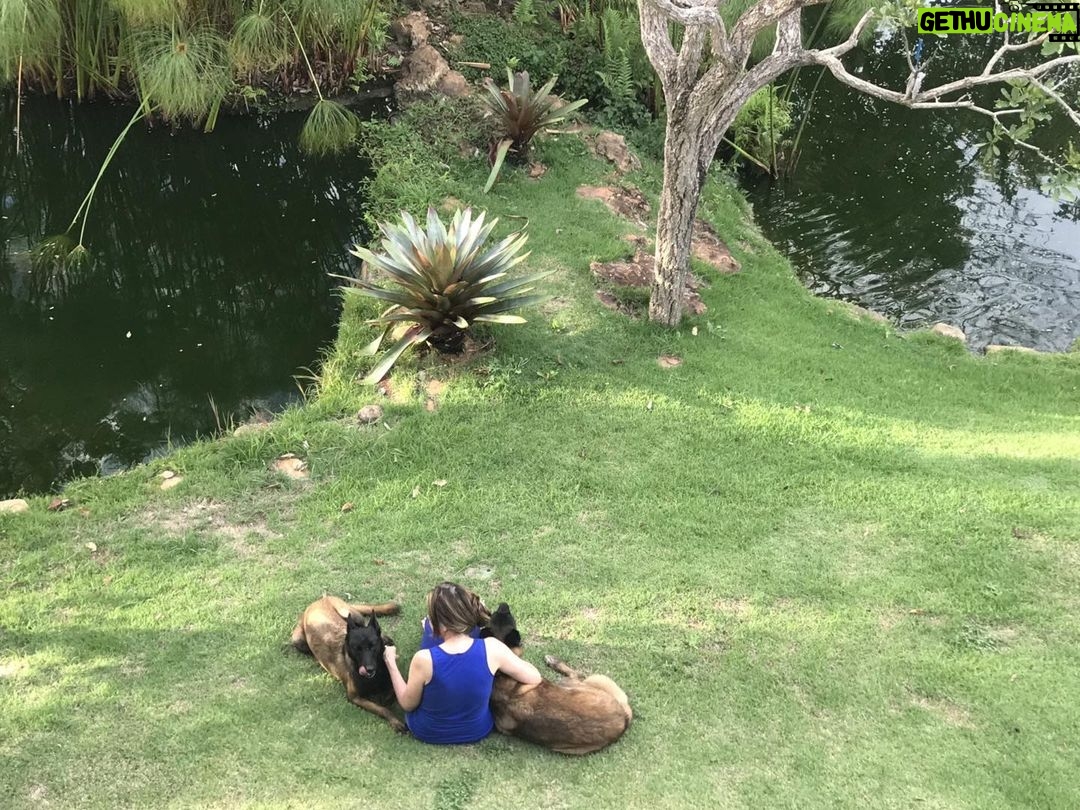 Alexandre Garcia Instagram - Campestre. Fim de tarde de Finados.