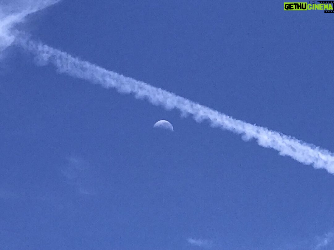 Alexandre Garcia Instagram - Fly me to the moon. (Brasília, manhã de sexta-feira)