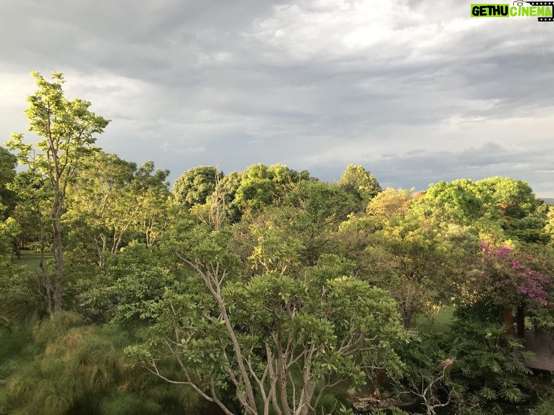 Alexandre Garcia Instagram - 50 tons de verde, depois da chuva de fim-de-tarde.