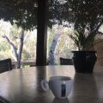 Alexandre Garcia Instagram - 16:30 de domingo, 19% de umidade, 33 graus centígrados, nem a xícara de café depois da sesta levanta o ânimo. Mas a obrigação chama para os 600 metros n’água.