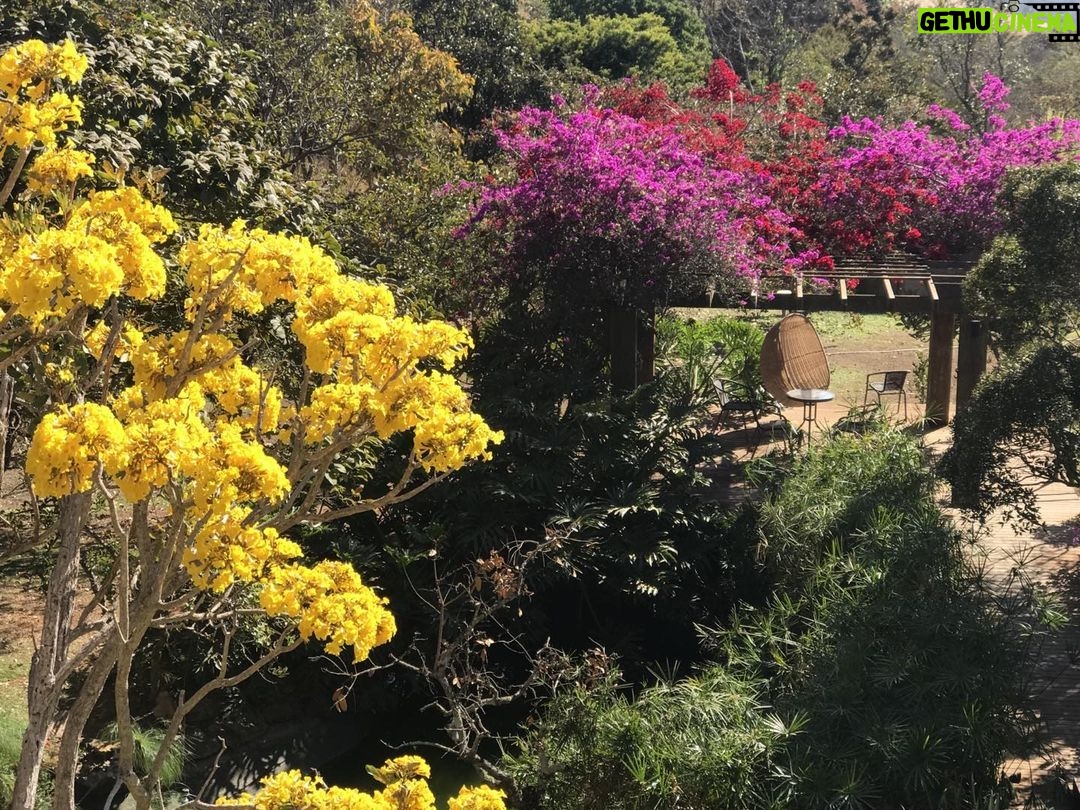 Alexandre Garcia Instagram - As cores do início de semana.