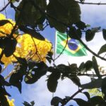 Alexandre Garcia Instagram - Bandeira nova, para a Semana da Pátria.