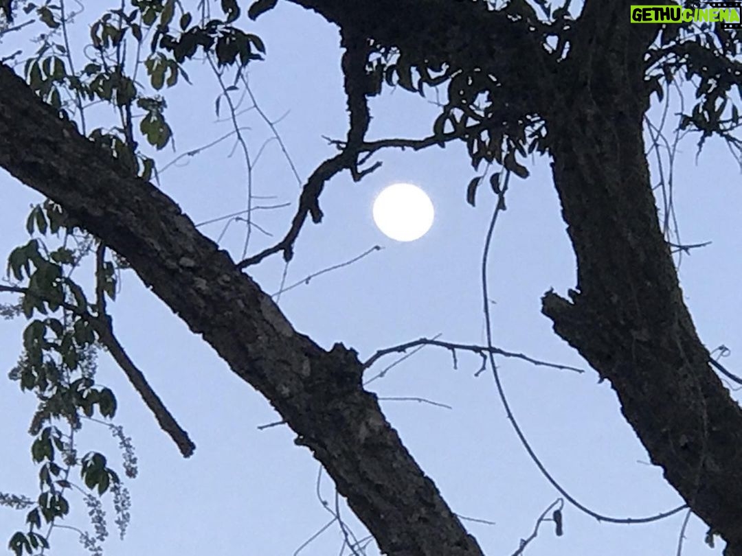 Alexandre Garcia Instagram - A lua cheia chegou ao cerrado. Aproveitem a noite linda desta sexta-feira!