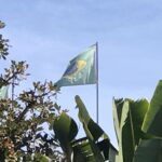 Alexandre Garcia Instagram - Neste sábado Brasília tem milhares como esta que ondula aqui um casa.