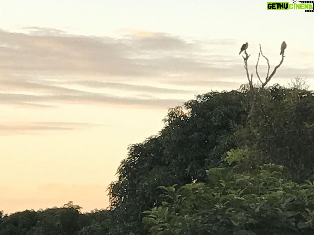 Alexandre Garcia Instagram - A luz de sexta-feira se despedindo.
