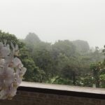 Alexandre Garcia Instagram - O céu de inverno baixou no DF.