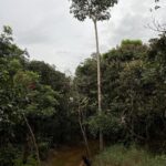 Alexandre Garcia Instagram - Vamos passear no cerrado? Seo Lobo Guará é amigo.