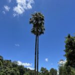 Alexandre Garcia Instagram - Céu e terra em Teresópolis, nesta manhã de sexta-feira.