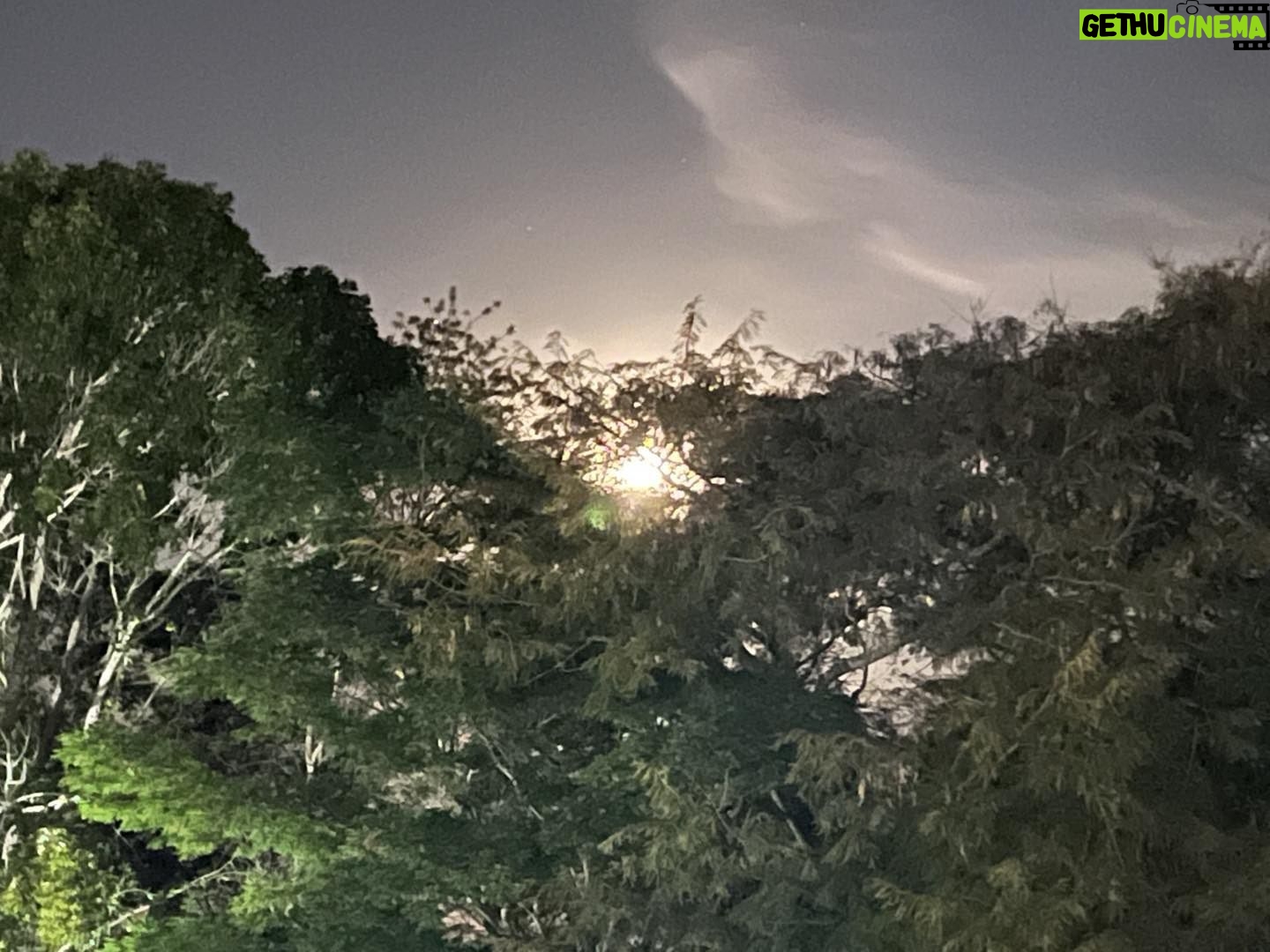 Alexandre Garcia Instagram - Silvio Luiz, olha aí a lua nascendo aqui em Brasília, no verde do Mosteiro de São Bento.