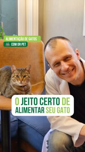 Alexandre Rossi Instagram - Se você tem um gato com certeza já deve ter ouvido que ele precisa comer várias vezes por dia, certo? E muita gente não sabe o motivo.

Por isso, hoje eu vim falar um pouco sobre isso pra vocês!

Vem conferir e já me conta como é por aí!
:
#alexandrerossi #drpet #comportamentoanimal #gatos #alimentacaodegatos