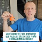 Alexandre Rossi Instagram - Você sabem que sempre me preocupo com o bem-estar dos cães, e não poderia ser diferente com os que vão ficando cegos ou que já nasceram cegos. Recentemente, recebi um aparelho muito interessante que pode ajudar os animais cegos: a @coleirablindog, que mede a distância dos obstáculos e vibra, sinalizando que o pet vai bater algum lugar e dando tempo pra ele desviar. Muito legal, né?! Assim que testar em um animal com deficiência visual, venho contar pra vocês! : #alexandrerossi #drpet #cachorrocego #coleirablindog #bemestaranimal #cachorroidoso
