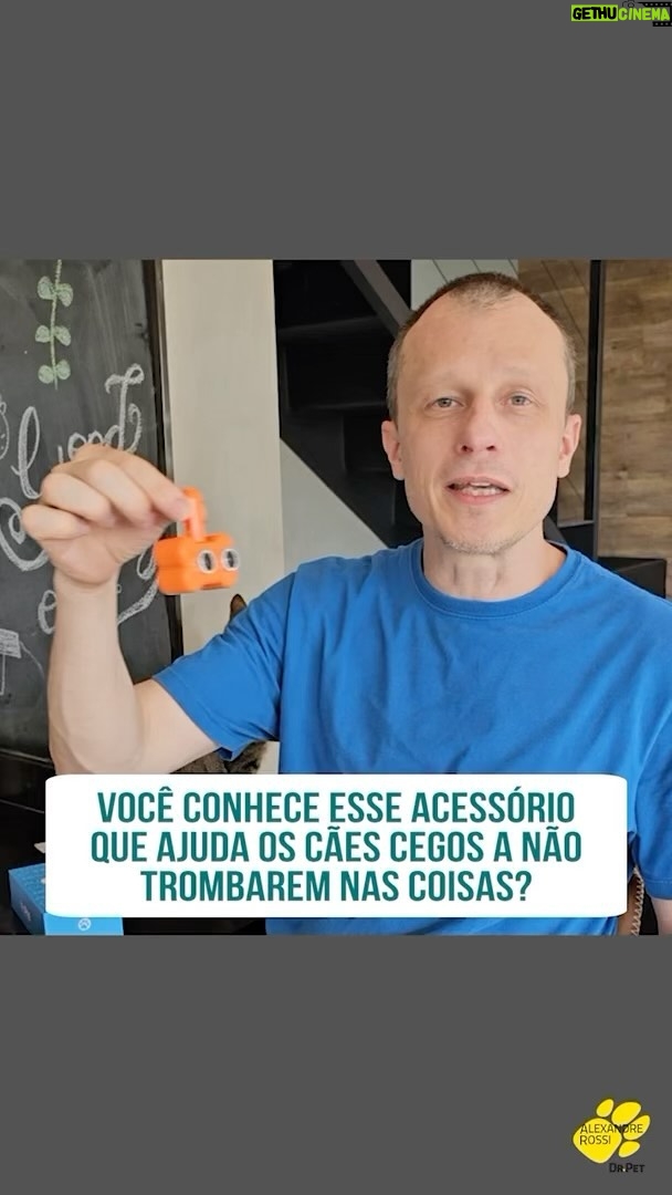 Alexandre Rossi Instagram - Você sabem que sempre me preocupo com o bem-estar dos cães, e não poderia ser diferente com os que vão ficando cegos ou que já nasceram cegos. Recentemente, recebi um aparelho muito interessante que pode ajudar os animais cegos: a @coleirablindog, que mede a distância dos obstáculos e vibra, sinalizando que o pet vai bater algum lugar e dando tempo pra ele desviar. Muito legal, né?! Assim que testar em um animal com deficiência visual, venho contar pra vocês! : #alexandrerossi #drpet #cachorrocego #coleirablindog #bemestaranimal #cachorroidoso