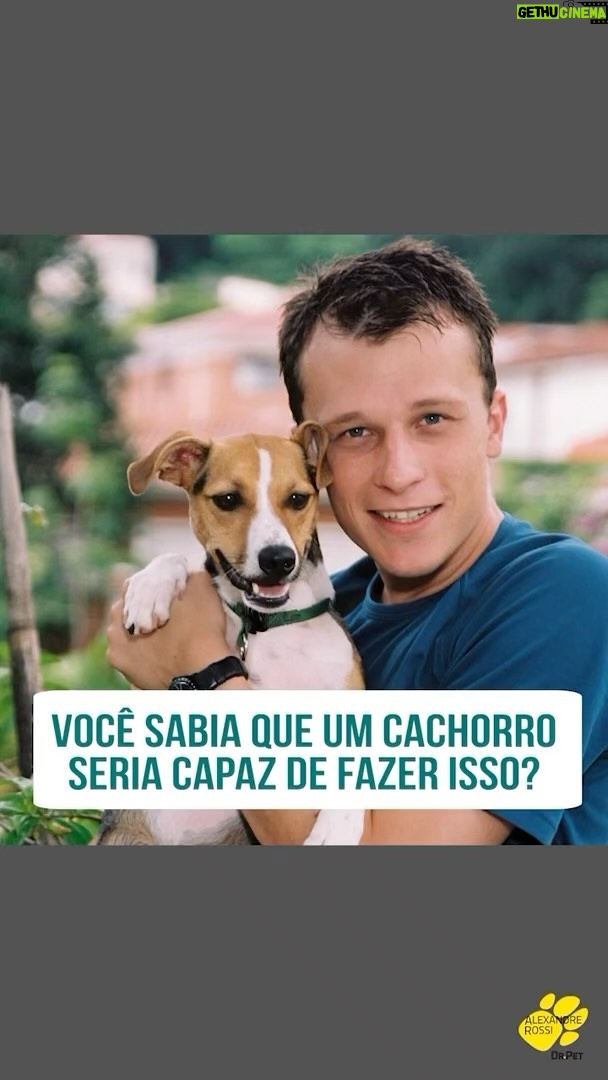 Alexandre Rossi Instagram - Você já ouviu falar em comunicação por botões? Pois é, é algo que está na moda hoje, rs. E eu e a Sofia, a cachorrinha que tive antes da Estopinha, que comprovamos pela primeira vez, em um estudo científico, que cães podem se comunicar por meio de sinais arbitrários, como botões ou símbolos. E me deixa muito feliz que até hoje somos citados em vários estudos, livros e revistas sobre o assunto. E eu gravei um podcast falando mais sobre isso e explicando tudo pra vocês! E você pode ouvir em todas as plataformas de áudio. : #alexandrerossi #drpet #comportamentoanimal #cachorro #comunicaçãoporbotoes #cachorro