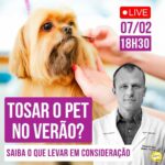 Alexandre Rossi Instagram - Tosar ou não tosar, assunto que ainda vem sendo um polêmico! A maioria das pessoas tem dúvidas se deve ou não tosar o cachorro nesse calor, afinal alguns não sabem se o pelo vai proteger o pet do calor ou não. Por isso, NESTA QUARTA vou fazer uma live sobre o assunto, pra vocês tirarem todas as dúvidas. ⏰ 07/02, às 18h30. : #alexandrerossi #drpet #tosarocachorro #tosanoverao #saudeanimal #bemestaranimal