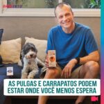 Alexandre Rossi Instagram - Já sabemos que as pulgas e carrapatos podem transmitir inúmeras doenças pros nossos pets, por isso, é sempre bom conferir se o seu pet não tem nenhum parasita. Mas você costuma conferir sua casa também? Pois é, muita gente não sabe, mas esses bichinhos adoram se “esconder” em alguns cantos da casa, como tapetes e cortinas. Por isso, pra garantir a saúde do pet, é importante que seja aplicado um antiparasitário que proteja eles e o ambiente, acabando com o ciclo dos parasitas. E pra isso, eu indico o Bravecto®️, da @msdfamiliapet. Vem saber mais no vídeo! : #alexandrerossi #drpet #cachorro #saudeanimal #bravecto #bravectocontrapulgaecarrapato #pulgaecarrapato