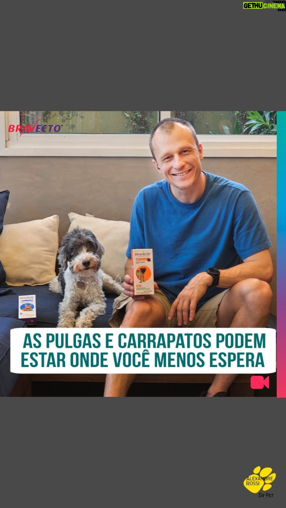 Alexandre Rossi Instagram - Já sabemos que as pulgas e carrapatos podem transmitir inúmeras doenças pros nossos pets, por isso, é sempre bom conferir se o seu pet não tem nenhum parasita. Mas você costuma conferir sua casa também? Pois é, muita gente não sabe, mas esses bichinhos adoram se “esconder” em alguns cantos da casa, como tapetes e cortinas. Por isso, pra garantir a saúde do pet, é importante que seja aplicado um antiparasitário que proteja eles e o ambiente, acabando com o ciclo dos parasitas. E pra isso, eu indico o Bravecto®️, da @msdfamiliapet. Vem saber mais no vídeo! : #alexandrerossi #drpet #cachorro #saudeanimal #bravecto #bravectocontrapulgaecarrapato #pulgaecarrapato