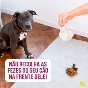 Alexandre Rossi Instagram - Você sabia que recolher o cocô na frente do seu cão pode torná-lo muito interessante pra ele?

É isso mesmo! Quando seu cão faz cocô em CASA e você sai correndo pra recolher, ele pode entender que o cocô é algo muito importante, afinal, tá todo mundo “querendo pegar”. Isso pode levá-lo a começar a comer as próprias fezes ou até pegar na boca e levar até você, pra que você veja que ele “pegou antes”. 

Por isso, o ideal é que você evite ao máximo sair correndo e/ou recolher na frente do seu cão. Em vez disso, depois que ele fizer cocô, chame-o pra perto de você e dê um petisco. Espere ele esquecer das fezes e depois vá recolher, sem “disputar”. 

Essa não é a única causa de coprofagia (que é ato de comer cocô), mas é um dos motivos principais que levam a esse comportamento. 

➡️ E se o seu cão tem o hábito de comer as próprias fezes, vem entender melhor e saber como diminuir esse comportamento de uma vez por todas no meu curso sobre isso. O link está na bio.
: 
#alexandrerossi #drpet #comportamentoanimal #cachorro #coprofagia #cachorrocomendococô