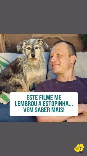 Alexandre Rossi Instagram - Pessoal, hoje vim dar uma dica de filme que acho que vocês vão adorar: UMA PROVA DE CORAGEM. É sobre a jornada de superação do Michael Light (Mark Wahlberg) para vencer o Campeonato Mundial de Corrida de Aventura. Para isso, ele tem a ajuda e o apoio incondicional de um cão de rua esperto e fofo que ele encontra no caminho.

Se eu fosse vocês, não perdia a chance de assistir nos cinemas! 

#alexandrerossi #drpet
#comportamentocanino #cachorros#publi #UmaProvaDeCoragem