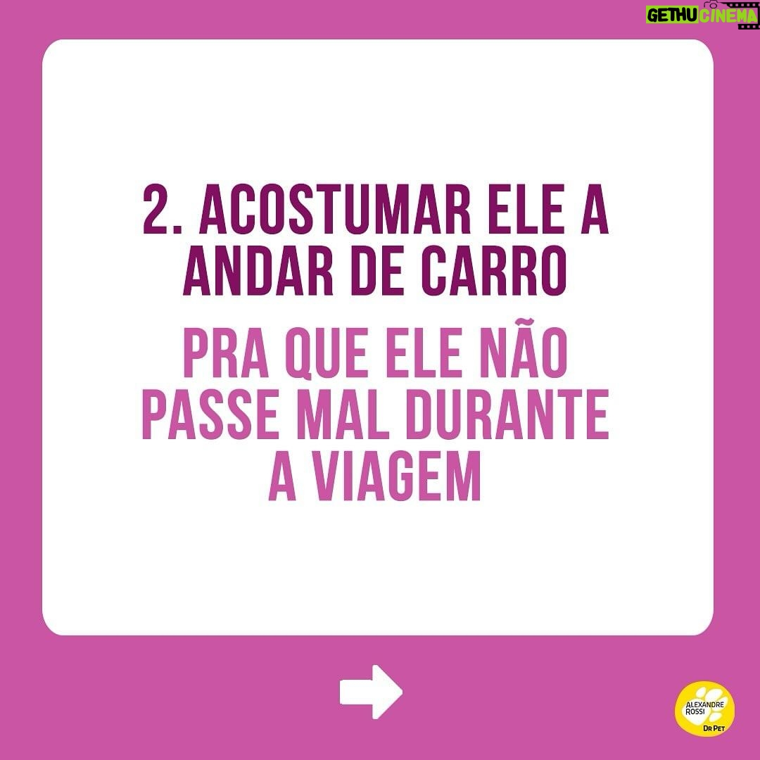 Alexandre Rossi Instagram - Quem me acompanha por aqui viu que nesse final de semana fui viajar com o @barthooficial e o Bruno. E muita gente adorou acompanhar nossa viagem e também perguntou como treinar o pet pra viajar junto. Por isso, hoje trouxe 3 dicas de como você pode preparar seu pet pra viajar com você e se comportar. Vem conferir! E pra saber mais sobre como educar seu pet, vem ser meu aluno no curso “Método Adestramento Inteligente”. O link está na bio. : #alexandrerossi #drpet #viagemcompet #comportamentoanimal #adestramentointeligente