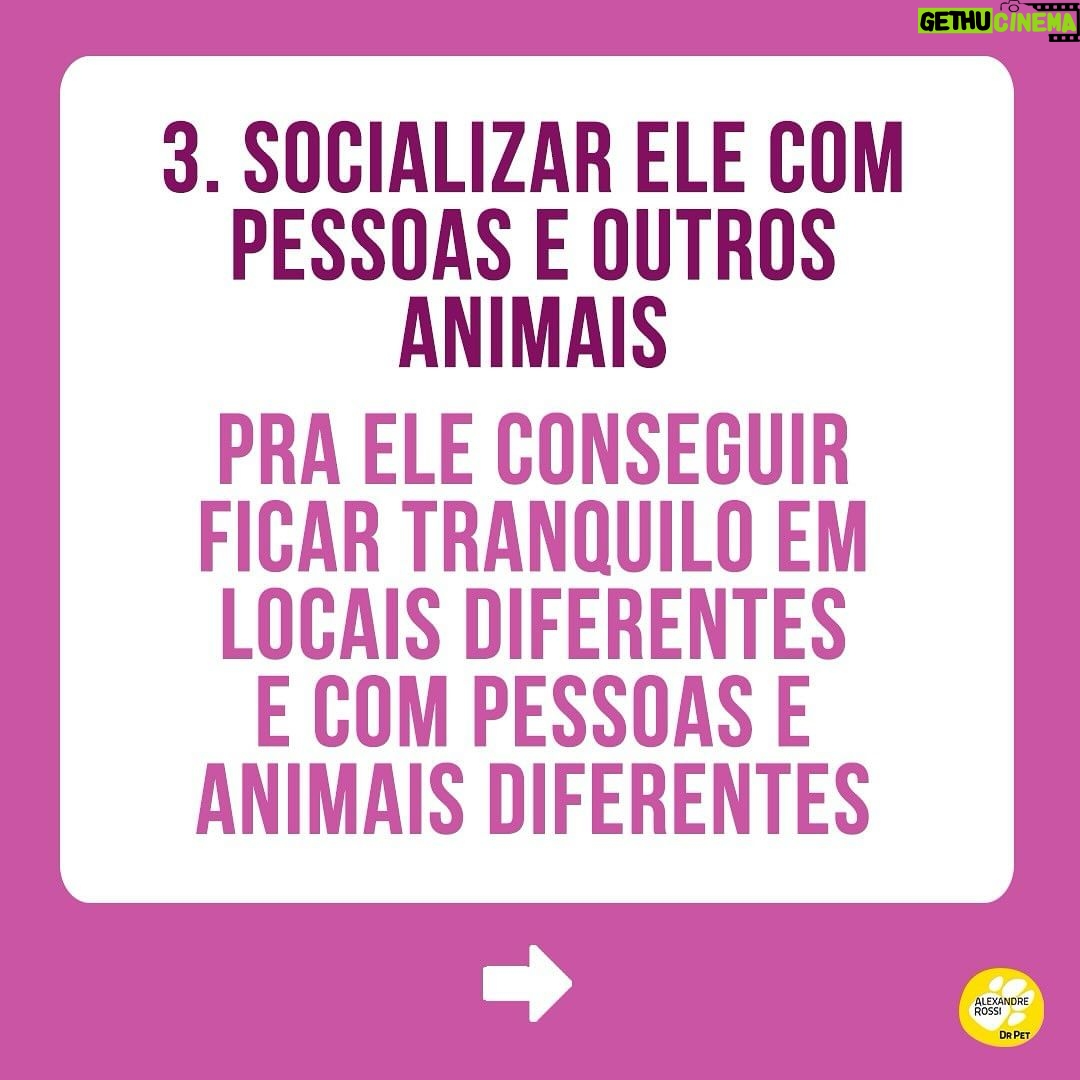 Alexandre Rossi Instagram - Quem me acompanha por aqui viu que nesse final de semana fui viajar com o @barthooficial e o Bruno. E muita gente adorou acompanhar nossa viagem e também perguntou como treinar o pet pra viajar junto. Por isso, hoje trouxe 3 dicas de como você pode preparar seu pet pra viajar com você e se comportar. Vem conferir! E pra saber mais sobre como educar seu pet, vem ser meu aluno no curso “Método Adestramento Inteligente”. O link está na bio. : #alexandrerossi #drpet #viagemcompet #comportamentoanimal #adestramentointeligente