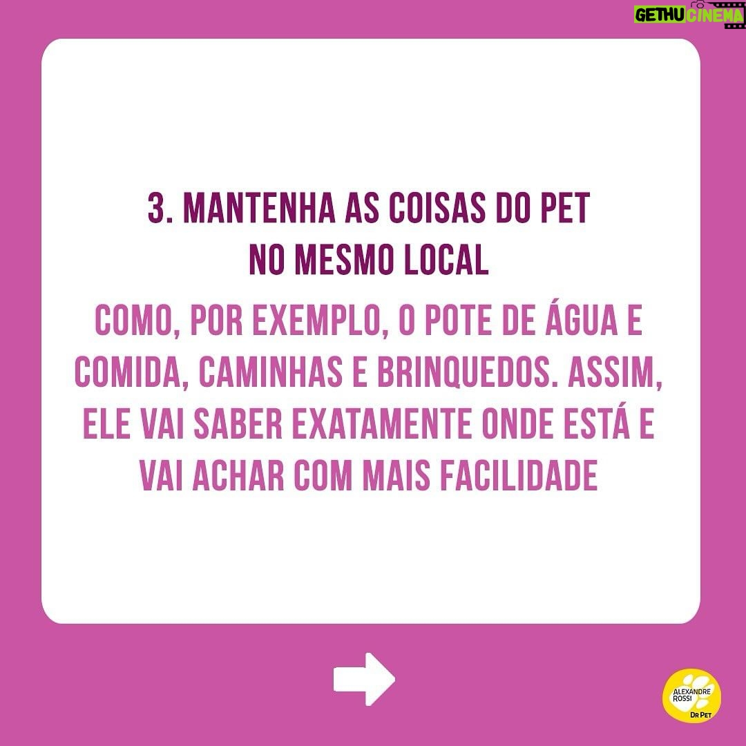 Alexandre Rossi Instagram - Seu pet é cego ou está ficando idoso e perdendo a visão? Muitos tutores ficam preocupados com a perda de visão do pet e não sabem o que fazer pra ajudar. Pensando nisso, hoje trouxe 5 dicas pra você ajudar seu pet que é cego ou já se prevenir caso seu pet seja idoso e possa perder a visão. Vem conferir e já me conta como é aí na sua casa e se tem um pet cego ou idoso! : #alexandrerossi #drpet #cachorrocego #cegueirapet #gatocego #saudeanimal