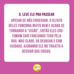 Alexandre Rossi Instagram - Seu pet é cego ou está ficando idoso e perdendo a visão? Muitos tutores ficam preocupados com a perda de visão do pet e não sabem o que fazer pra ajudar. Pensando nisso, hoje trouxe 5 dicas pra você ajudar seu pet que é cego ou já se prevenir caso seu pet seja idoso e possa perder a visão. Vem conferir e já me conta como é aí na sua casa e se tem um pet cego ou idoso! : #alexandrerossi #drpet #cachorrocego #cegueirapet #gatocego #saudeanimal