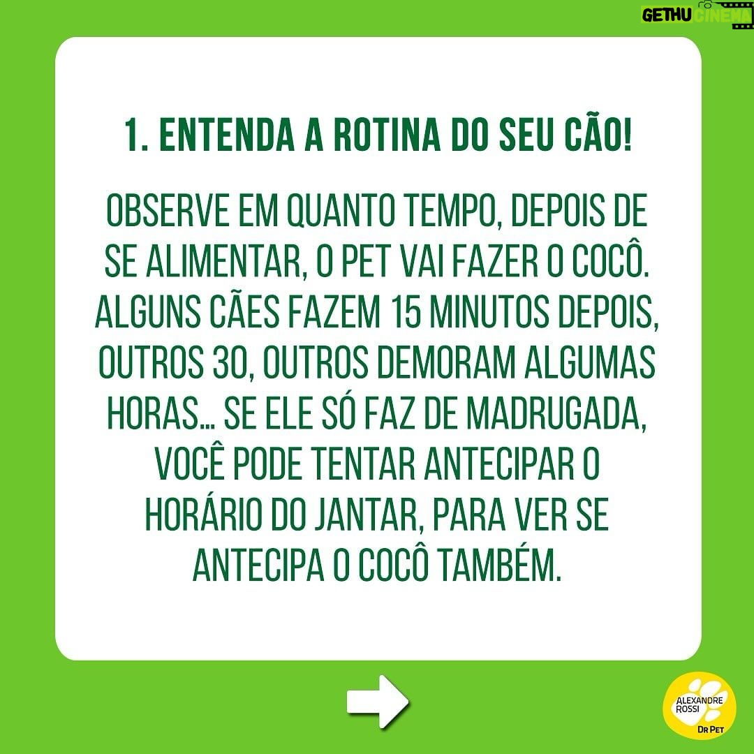 Alexandre Rossi Instagram - Estamos sempre falando sobre o treino para XIXI no lugar certo, mas como fica o cocô? Essa foi uma das perguntas que recebi nos comentários do post sobre xixi. A verdade é que: não existe um treino específico para cocô no lugar! Pois é, vou explicar… Ao recompensarmos o xixi no lugar certo, reforçando aquele local como banheirinho, após um tempo o cão naturalmente vai passar a fazer cocô ali também! Por isso se fala tanto do treino de XIXI. Mas é claro que podemos tentar alguns ajustes para facilitar esse treino do cocô também. Por isso, hoje trouxe algumas dicas! Notem que é o mesmo treino do xixi, adaptado para o cocô, rs! Ah, pegar um cocô e colocar em cima do tapetinho não vai fazer com que o pet aprenda, ok? Pode atrapalhar, porque talvez ele nem queira fazer cocô ali se já estiver sujo! 👇E aí, como está esse treino aí na sua casa? : #alexandrerossi #drpet #adestramentointeligente #dogs #comportamentocanino #comportamentoanimal #treinodexixiparacaes #cocoforadolugar