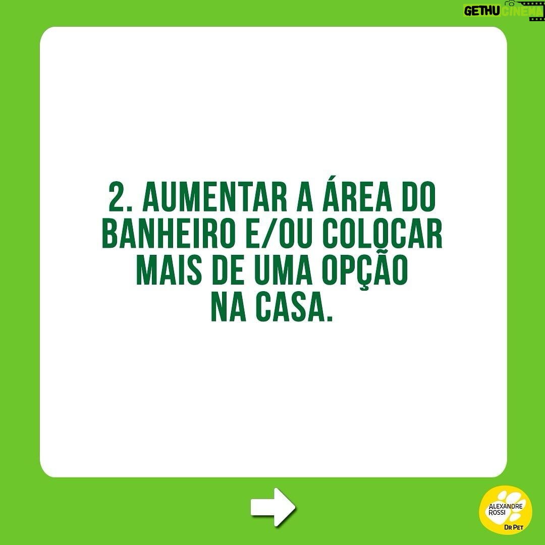 Alexandre Rossi Instagram - Estamos sempre falando sobre o treino para XIXI no lugar certo, mas como fica o cocô? Essa foi uma das perguntas que recebi nos comentários do post sobre xixi. A verdade é que: não existe um treino específico para cocô no lugar! Pois é, vou explicar… Ao recompensarmos o xixi no lugar certo, reforçando aquele local como banheirinho, após um tempo o cão naturalmente vai passar a fazer cocô ali também! Por isso se fala tanto do treino de XIXI. Mas é claro que podemos tentar alguns ajustes para facilitar esse treino do cocô também. Por isso, hoje trouxe algumas dicas! Notem que é o mesmo treino do xixi, adaptado para o cocô, rs! Ah, pegar um cocô e colocar em cima do tapetinho não vai fazer com que o pet aprenda, ok? Pode atrapalhar, porque talvez ele nem queira fazer cocô ali se já estiver sujo! 👇E aí, como está esse treino aí na sua casa? : #alexandrerossi #drpet #adestramentointeligente #dogs #comportamentocanino #comportamentoanimal #treinodexixiparacaes #cocoforadolugar