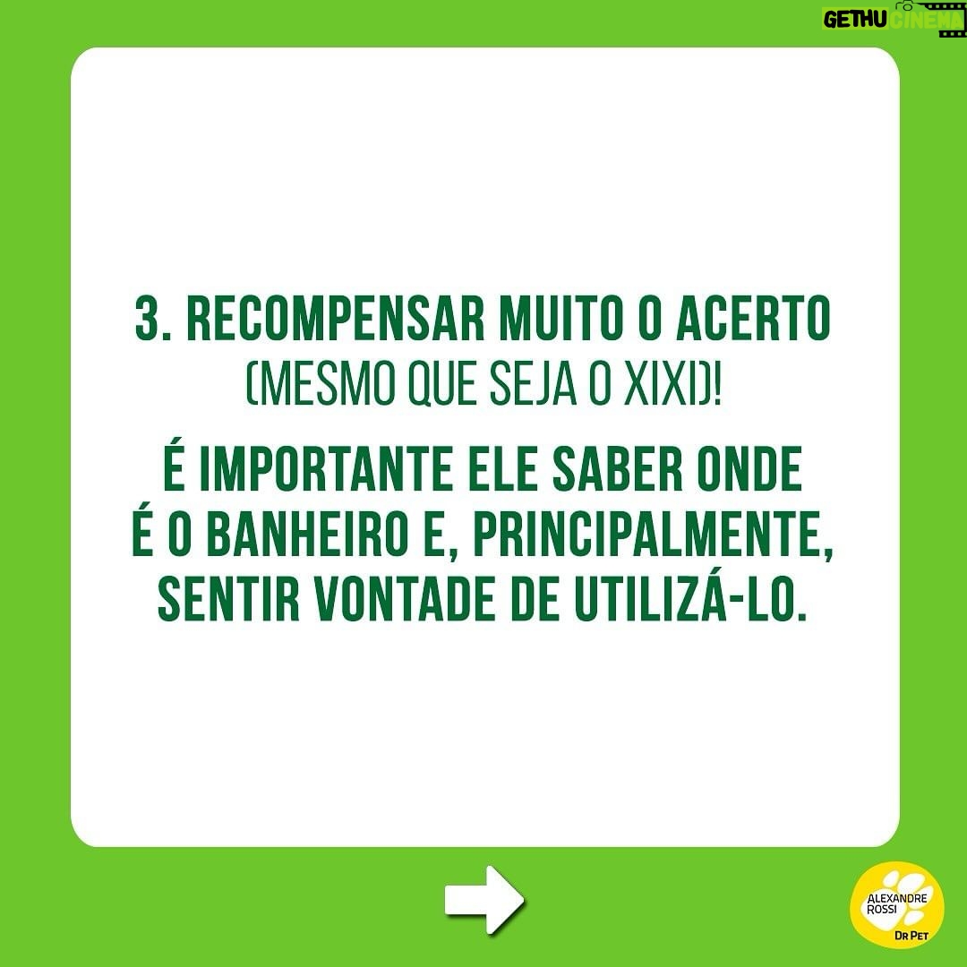 Alexandre Rossi Instagram - Estamos sempre falando sobre o treino para XIXI no lugar certo, mas como fica o cocô? Essa foi uma das perguntas que recebi nos comentários do post sobre xixi. A verdade é que: não existe um treino específico para cocô no lugar! Pois é, vou explicar… Ao recompensarmos o xixi no lugar certo, reforçando aquele local como banheirinho, após um tempo o cão naturalmente vai passar a fazer cocô ali também! Por isso se fala tanto do treino de XIXI. Mas é claro que podemos tentar alguns ajustes para facilitar esse treino do cocô também. Por isso, hoje trouxe algumas dicas! Notem que é o mesmo treino do xixi, adaptado para o cocô, rs! Ah, pegar um cocô e colocar em cima do tapetinho não vai fazer com que o pet aprenda, ok? Pode atrapalhar, porque talvez ele nem queira fazer cocô ali se já estiver sujo! 👇E aí, como está esse treino aí na sua casa? : #alexandrerossi #drpet #adestramentointeligente #dogs #comportamentocanino #comportamentoanimal #treinodexixiparacaes #cocoforadolugar