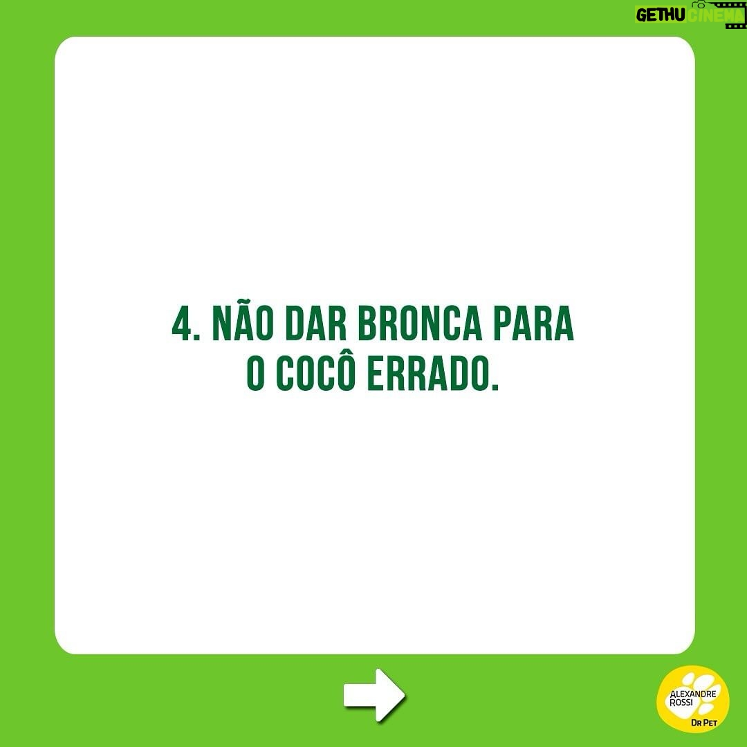 Alexandre Rossi Instagram - Estamos sempre falando sobre o treino para XIXI no lugar certo, mas como fica o cocô? Essa foi uma das perguntas que recebi nos comentários do post sobre xixi. A verdade é que: não existe um treino específico para cocô no lugar! Pois é, vou explicar… Ao recompensarmos o xixi no lugar certo, reforçando aquele local como banheirinho, após um tempo o cão naturalmente vai passar a fazer cocô ali também! Por isso se fala tanto do treino de XIXI. Mas é claro que podemos tentar alguns ajustes para facilitar esse treino do cocô também. Por isso, hoje trouxe algumas dicas! Notem que é o mesmo treino do xixi, adaptado para o cocô, rs! Ah, pegar um cocô e colocar em cima do tapetinho não vai fazer com que o pet aprenda, ok? Pode atrapalhar, porque talvez ele nem queira fazer cocô ali se já estiver sujo! 👇E aí, como está esse treino aí na sua casa? : #alexandrerossi #drpet #adestramentointeligente #dogs #comportamentocanino #comportamentoanimal #treinodexixiparacaes #cocoforadolugar