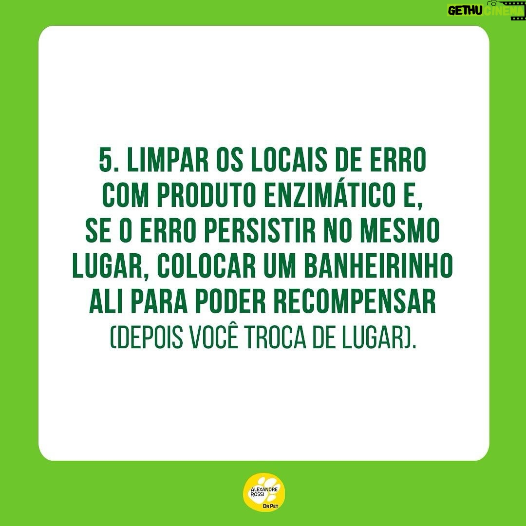 Alexandre Rossi Instagram - Estamos sempre falando sobre o treino para XIXI no lugar certo, mas como fica o cocô? Essa foi uma das perguntas que recebi nos comentários do post sobre xixi. A verdade é que: não existe um treino específico para cocô no lugar! Pois é, vou explicar… Ao recompensarmos o xixi no lugar certo, reforçando aquele local como banheirinho, após um tempo o cão naturalmente vai passar a fazer cocô ali também! Por isso se fala tanto do treino de XIXI. Mas é claro que podemos tentar alguns ajustes para facilitar esse treino do cocô também. Por isso, hoje trouxe algumas dicas! Notem que é o mesmo treino do xixi, adaptado para o cocô, rs! Ah, pegar um cocô e colocar em cima do tapetinho não vai fazer com que o pet aprenda, ok? Pode atrapalhar, porque talvez ele nem queira fazer cocô ali se já estiver sujo! 👇E aí, como está esse treino aí na sua casa? : #alexandrerossi #drpet #adestramentointeligente #dogs #comportamentocanino #comportamentoanimal #treinodexixiparacaes #cocoforadolugar