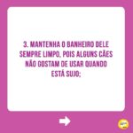 Alexandre Rossi Instagram - Muitos tutores sofrem com o pet que faz xixi pela casa toda, e não sabem o que fazer pra melhorar esse comportamento. Por isso, hoje eu trouxe 5 dicas que podem te ajudar a melhorar esse problema! Mas atenção: é preciso ter paciência, repetir por alguns dias seguidos e também testar várias dessas orientações para entender o que funciona para o seu cachorro! #drpet #adestramentointeligente #xixiforadolugar #cachorro #lovedogs #comportamento #xixierrado
