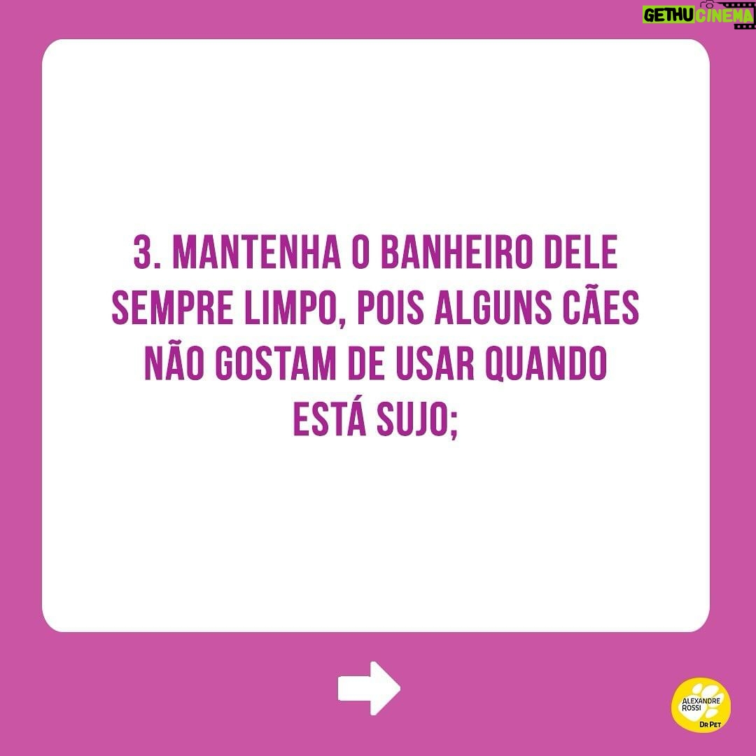 Alexandre Rossi Instagram - Muitos tutores sofrem com o pet que faz xixi pela casa toda, e não sabem o que fazer pra melhorar esse comportamento. Por isso, hoje eu trouxe 5 dicas que podem te ajudar a melhorar esse problema! Mas atenção: é preciso ter paciência, repetir por alguns dias seguidos e também testar várias dessas orientações para entender o que funciona para o seu cachorro! #drpet #adestramentointeligente #xixiforadolugar #cachorro #lovedogs #comportamento #xixierrado