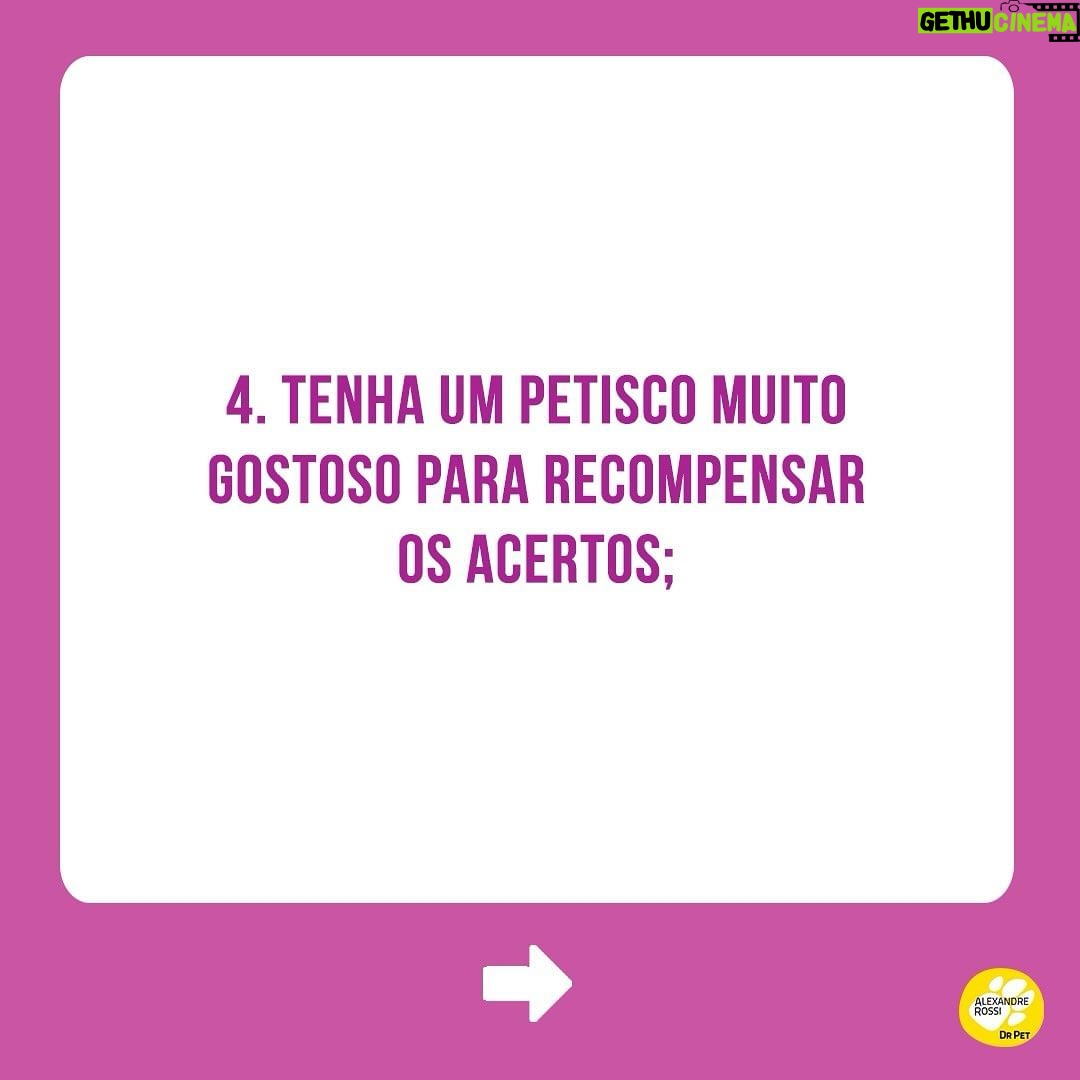 Alexandre Rossi Instagram - Muitos tutores sofrem com o pet que faz xixi pela casa toda, e não sabem o que fazer pra melhorar esse comportamento. Por isso, hoje eu trouxe 5 dicas que podem te ajudar a melhorar esse problema! Mas atenção: é preciso ter paciência, repetir por alguns dias seguidos e também testar várias dessas orientações para entender o que funciona para o seu cachorro! #drpet #adestramentointeligente #xixiforadolugar #cachorro #lovedogs #comportamento #xixierrado