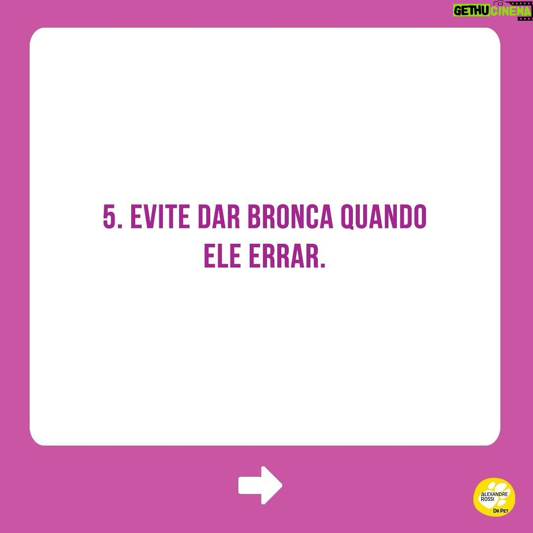 Alexandre Rossi Instagram - Muitos tutores sofrem com o pet que faz xixi pela casa toda, e não sabem o que fazer pra melhorar esse comportamento. Por isso, hoje eu trouxe 5 dicas que podem te ajudar a melhorar esse problema! Mas atenção: é preciso ter paciência, repetir por alguns dias seguidos e também testar várias dessas orientações para entender o que funciona para o seu cachorro! #drpet #adestramentointeligente #xixiforadolugar #cachorro #lovedogs #comportamento #xixierrado
