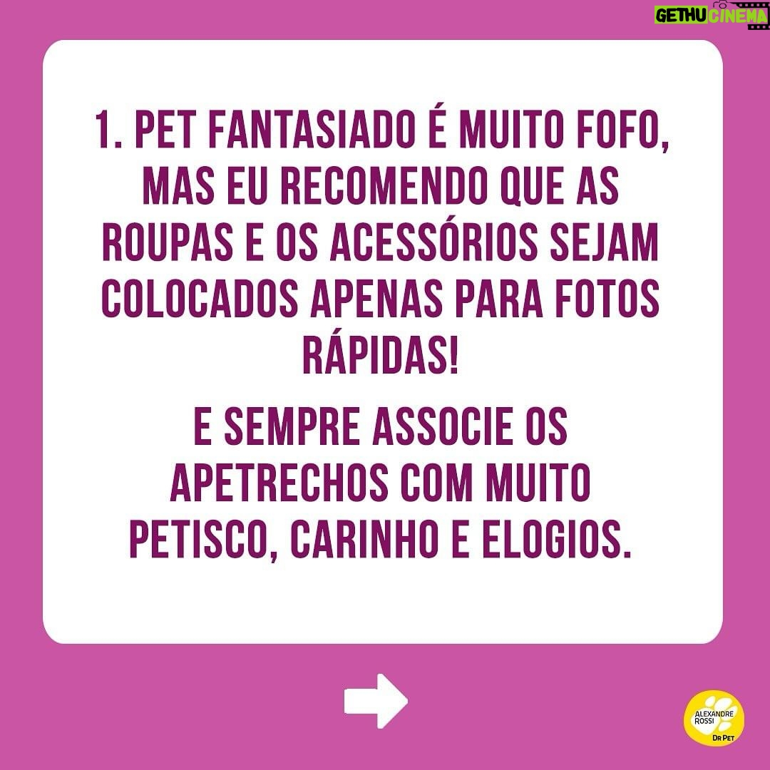 Alexandre Rossi Instagram - Muitas pessoas gostam de incluir os pets na folia do carnaval (e em outras comemorações) e me perguntam sobre o que penso disso! A minha opinião é que quanto mais a gente puder integrar os animais no nosso dia a dia, melhor! Mas, a gente nunca pode se esquecer de que o bem-estar deles vêm em primeiro lugar, e que a experiência precisa ser legal e saudável para eles. Então, aqui vão algumas dicas para os cuidados no carnaval. ⠀⠀⠀⠀⠀⠀⠀⠀ Ótimo carnaval a todos! #DrPet #adestramentointeligente #ComportamentoAnimal #DrPet #Cachorro #Gato #CarnavalComPets